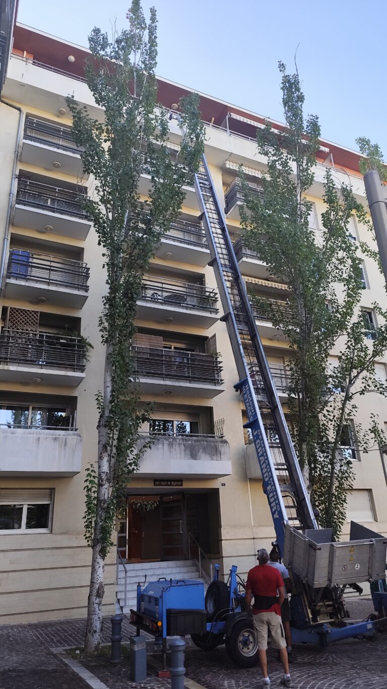 Service de débarras de maison avec équipe et camion pour évacuer des meubles en toute sérénité