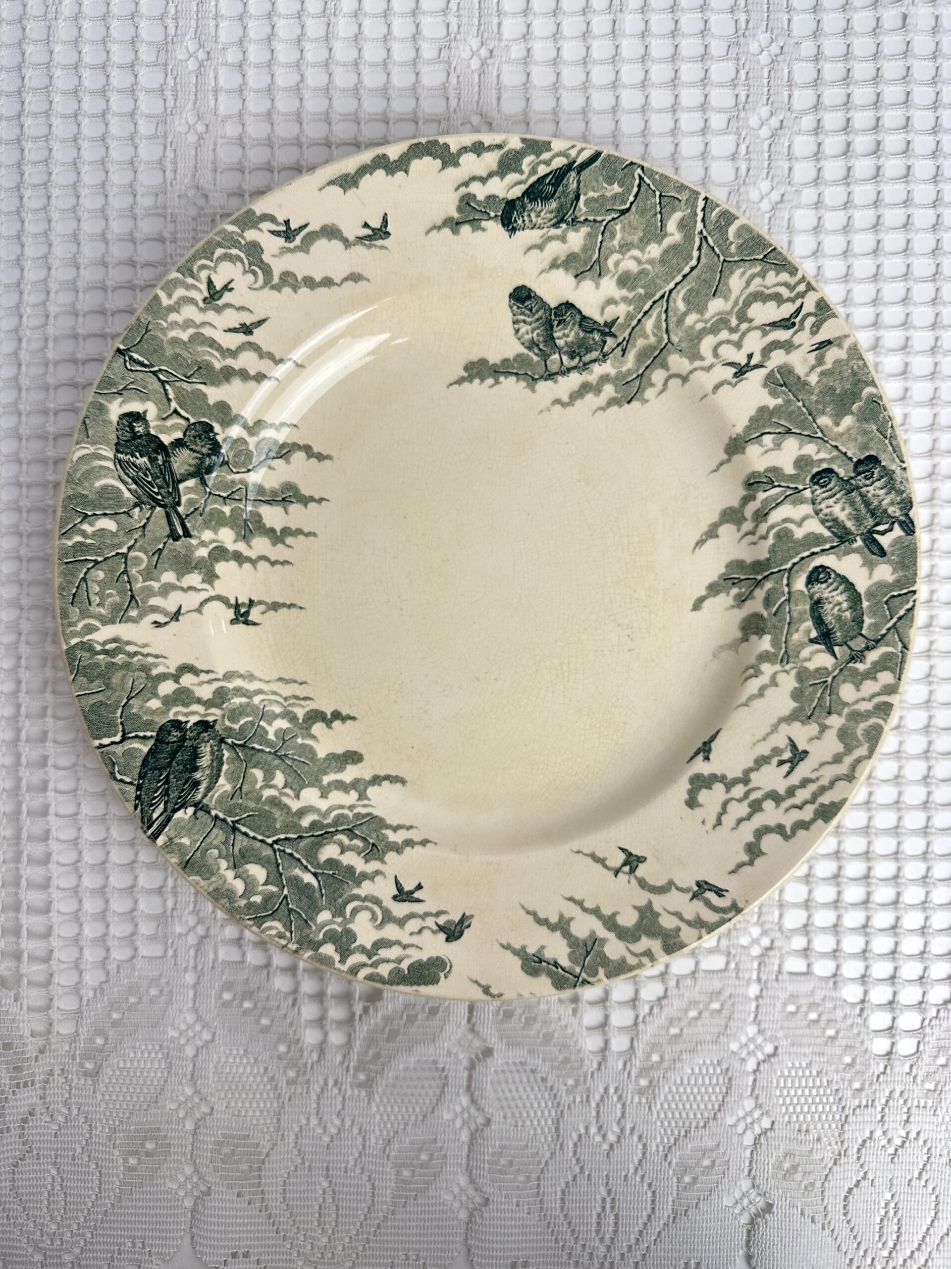 Plat Sarreguemines U&C Neige