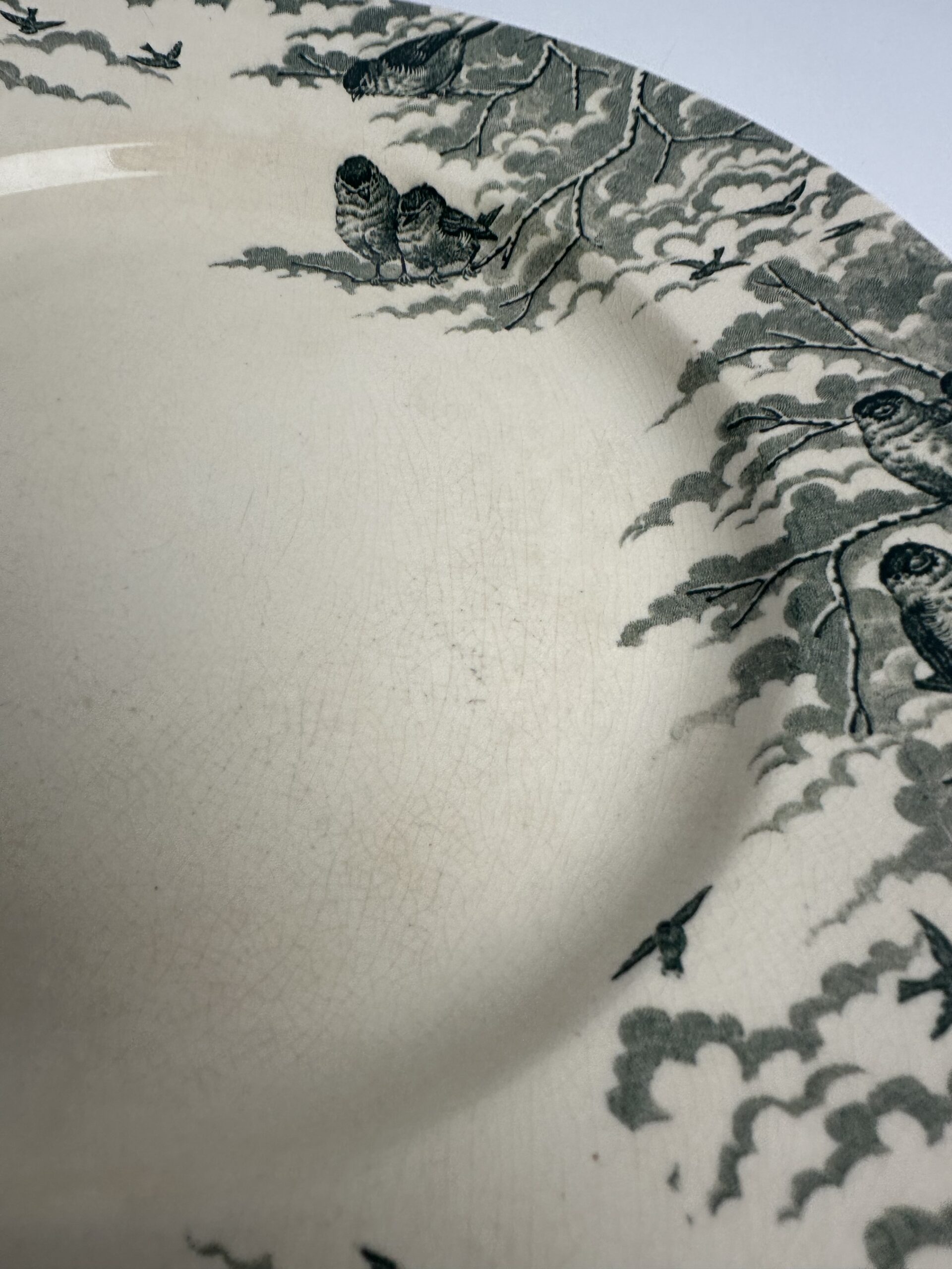 Plat Sarreguemines U&C Neige – Image 5