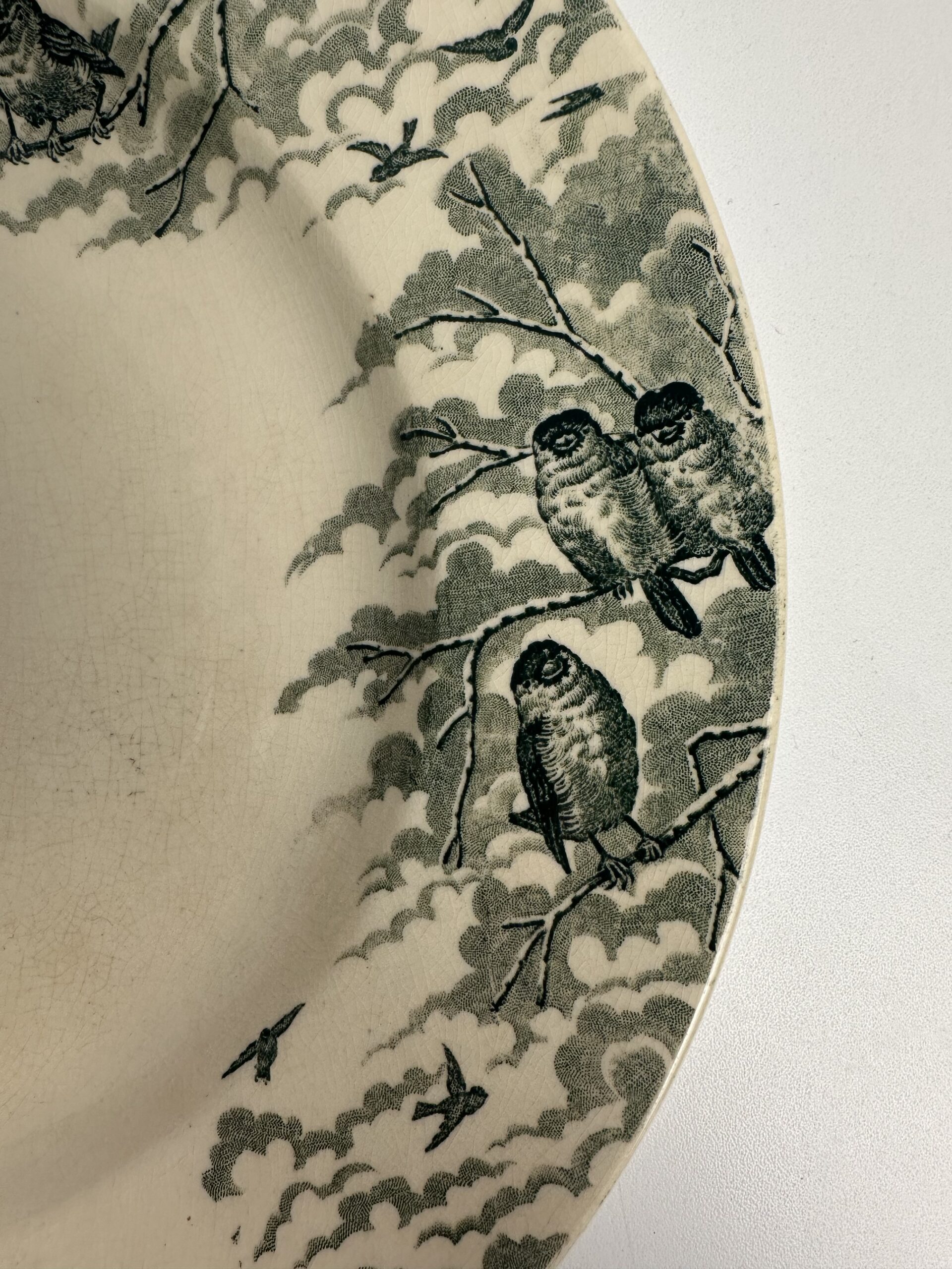 Plat Sarreguemines U&C Neige – Image 6