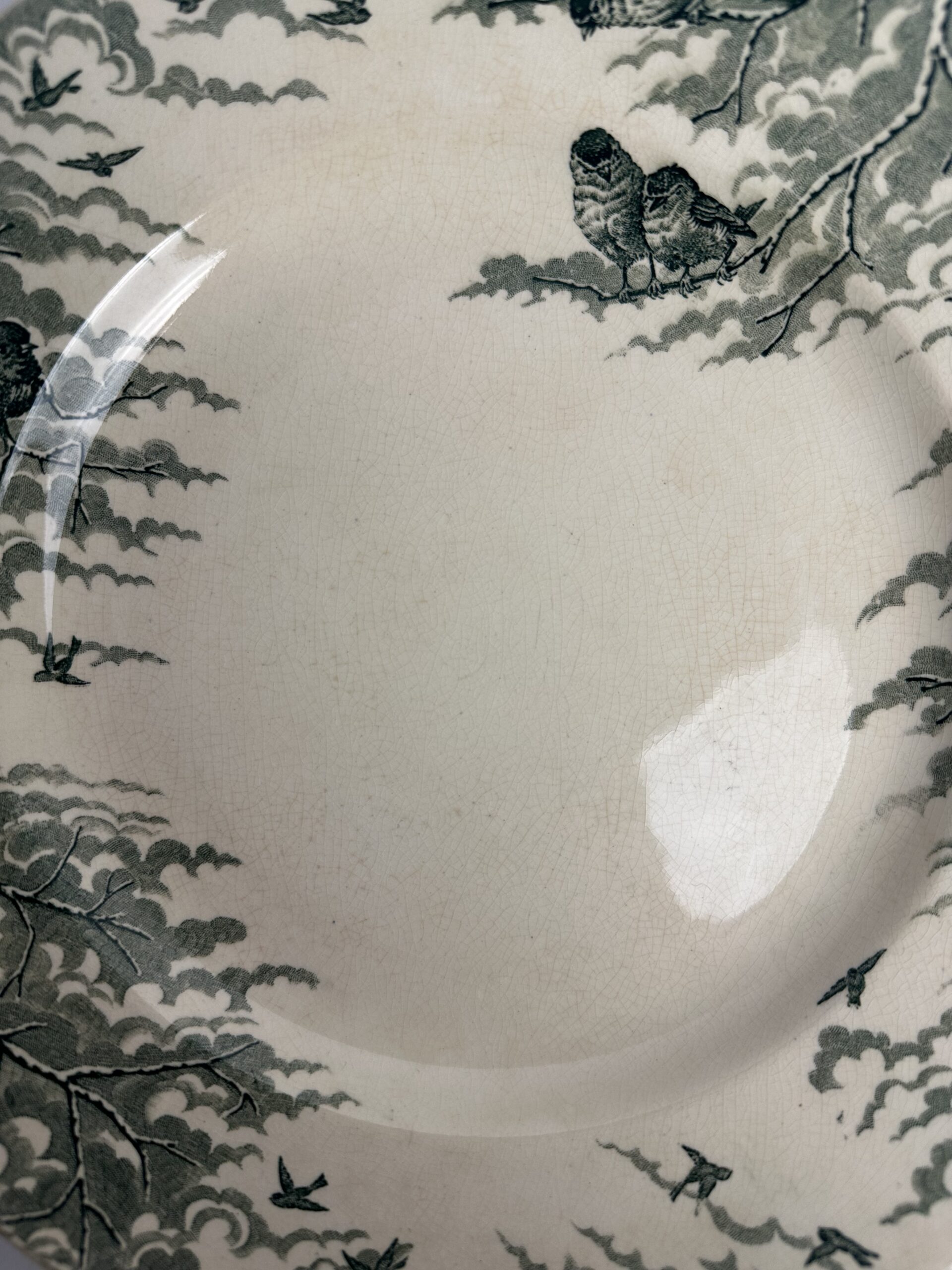 Plat Sarreguemines U&C Neige – Image 9