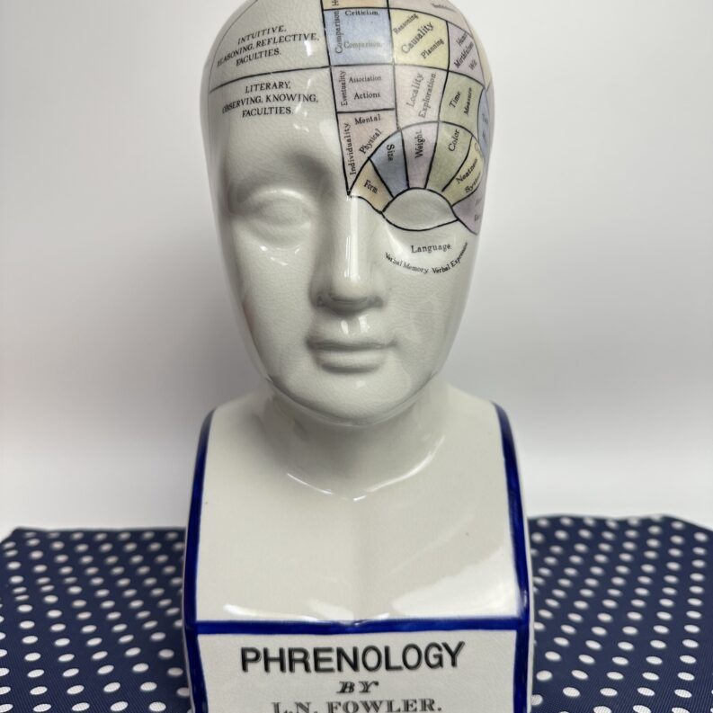 Tête de phrénologie vintage en céramique