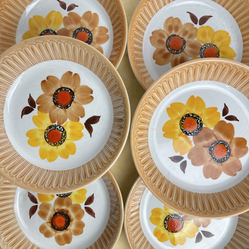 6 assiettes creuses Mondovi Italie