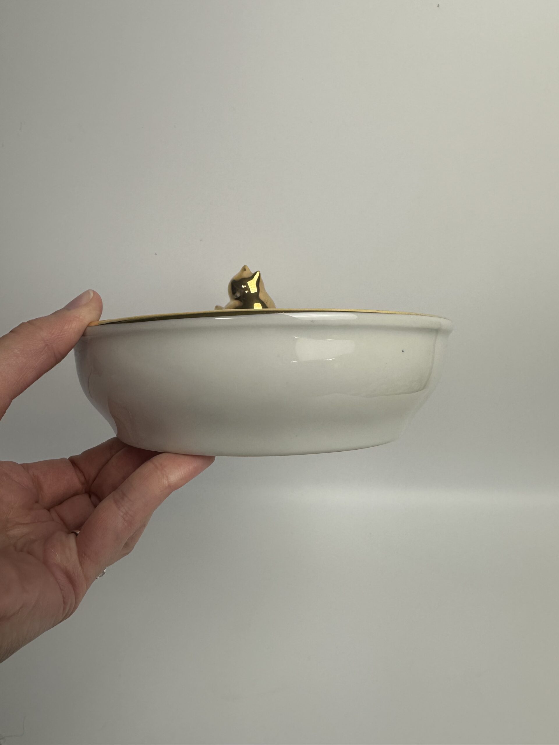 Assiette chauffante bébé porcelaine de Limoges – Image 6