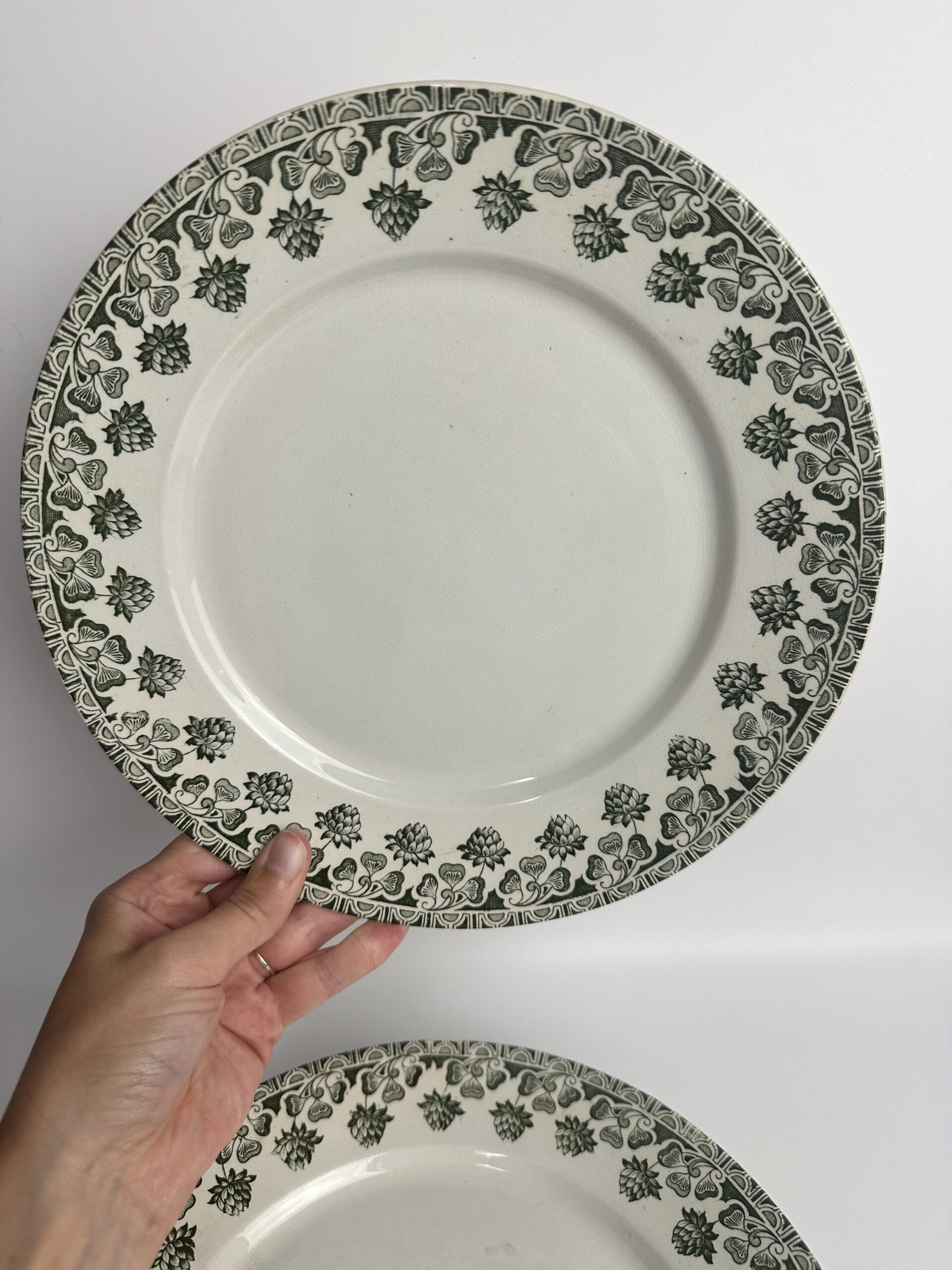 6 assiettes anciennes Badonviller Trèfle Terre de Fer – Image 7