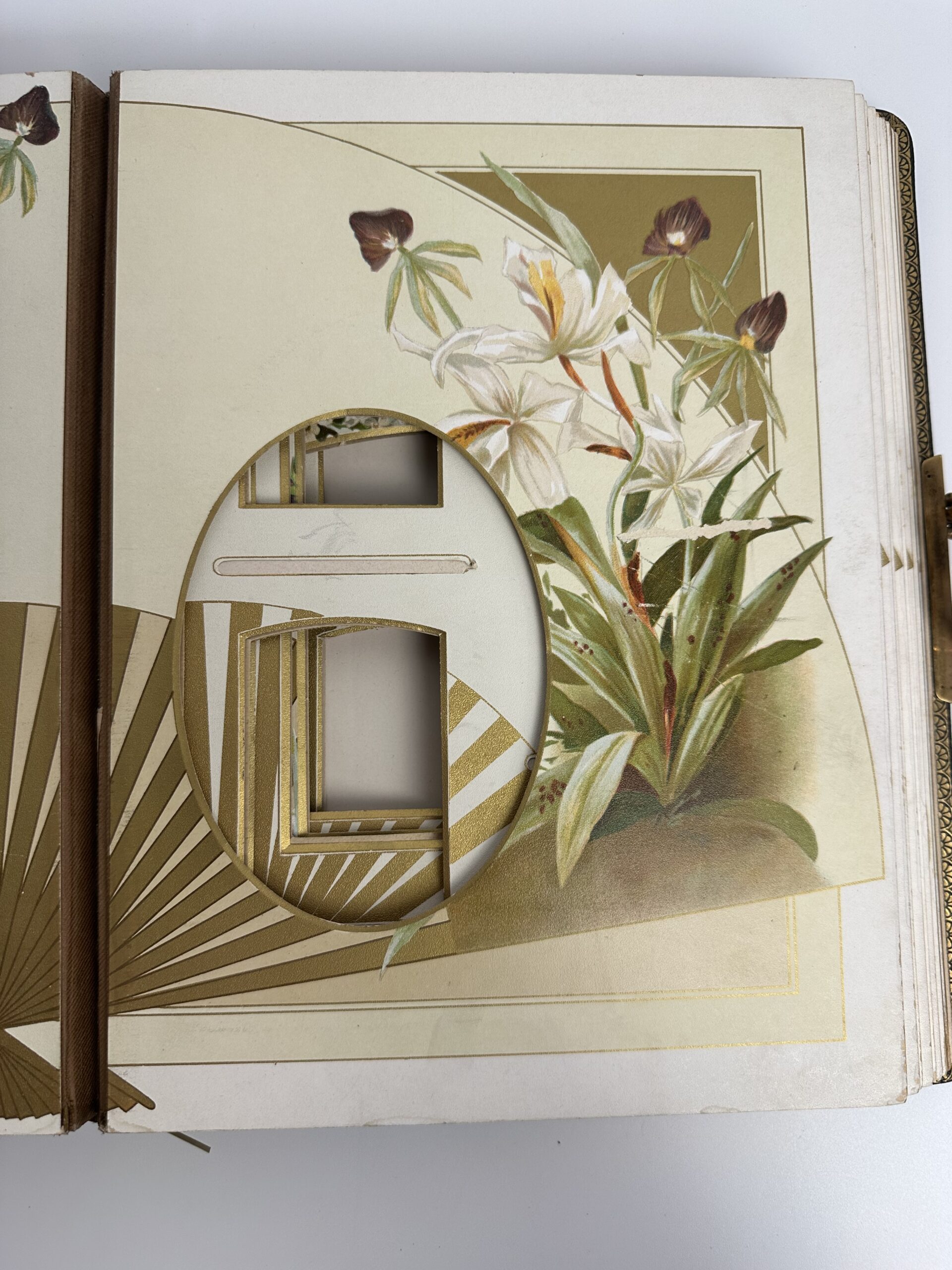 Ancien album photo décor fleuri et doré – Image 10