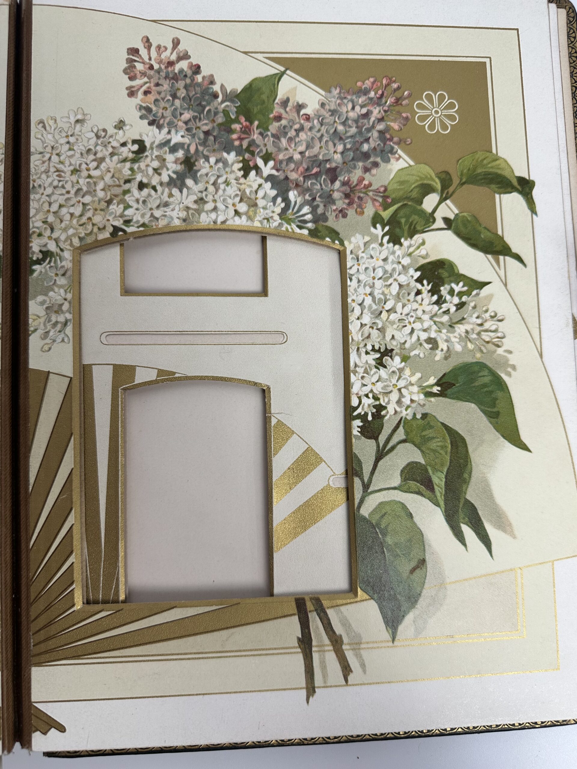 Ancien album photo décor fleuri et doré – Image 16