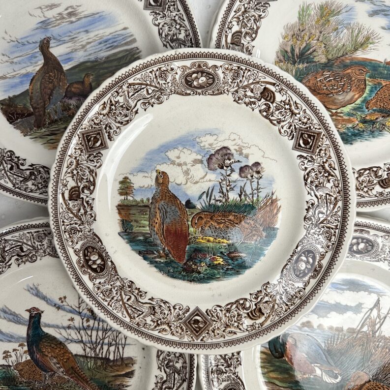 8 assiettes anciennes Mason's Patent Ironstone Game Birds