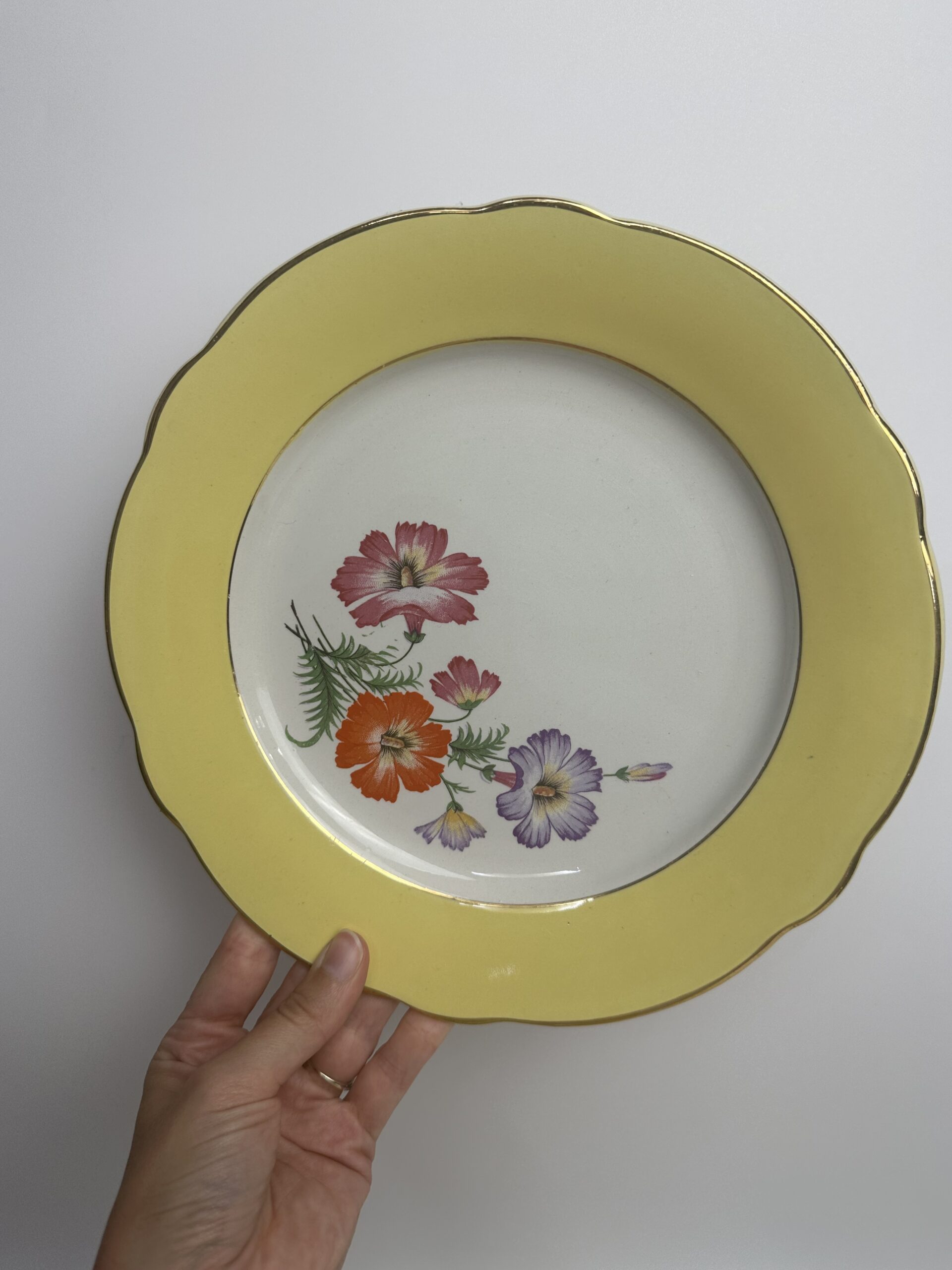 10 assiettes anciennes K&G Lunéville Althea décor fleuri – Image 4