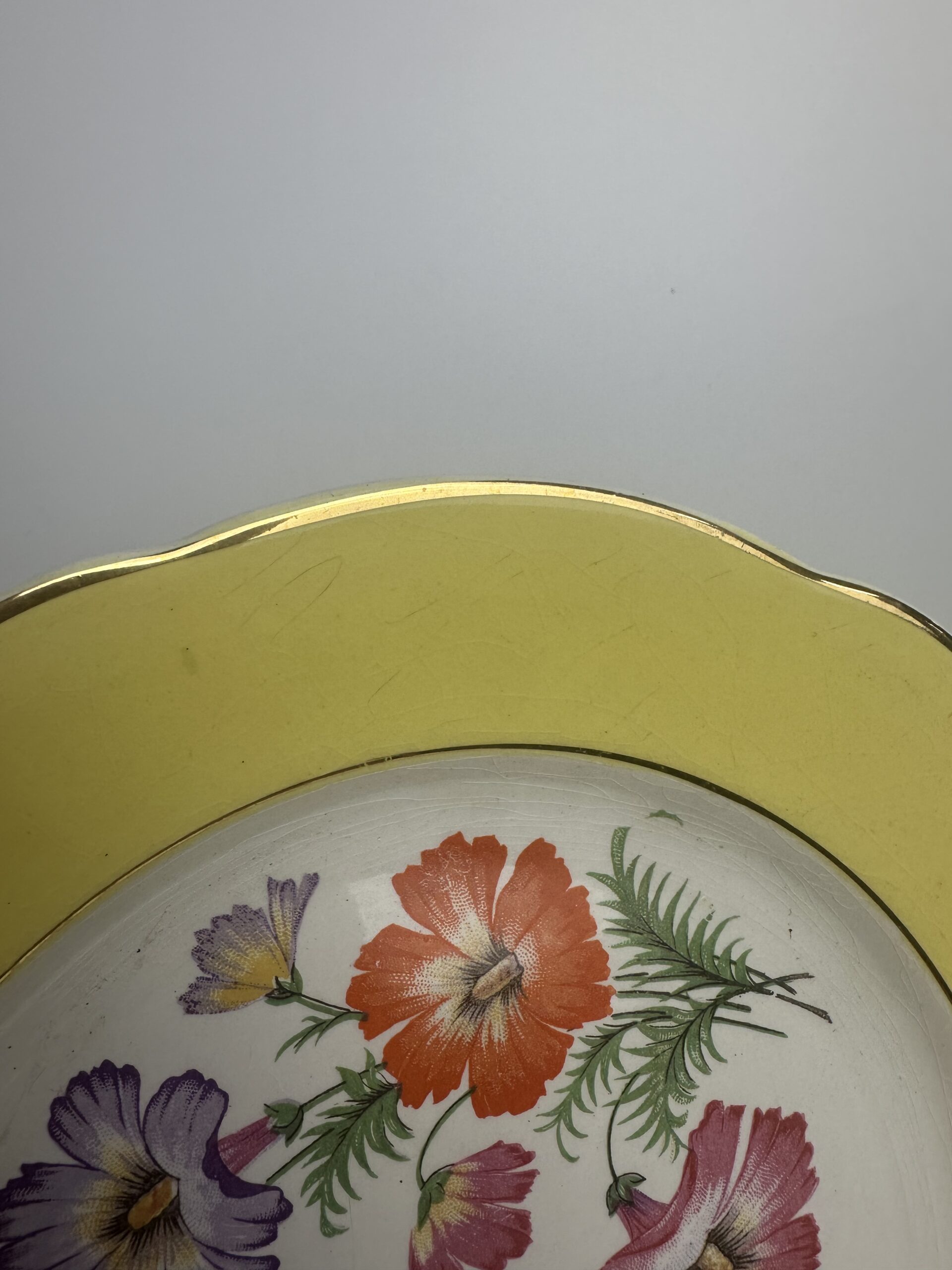 10 assiettes anciennes K&G Lunéville Althea décor fleuri – Image 6