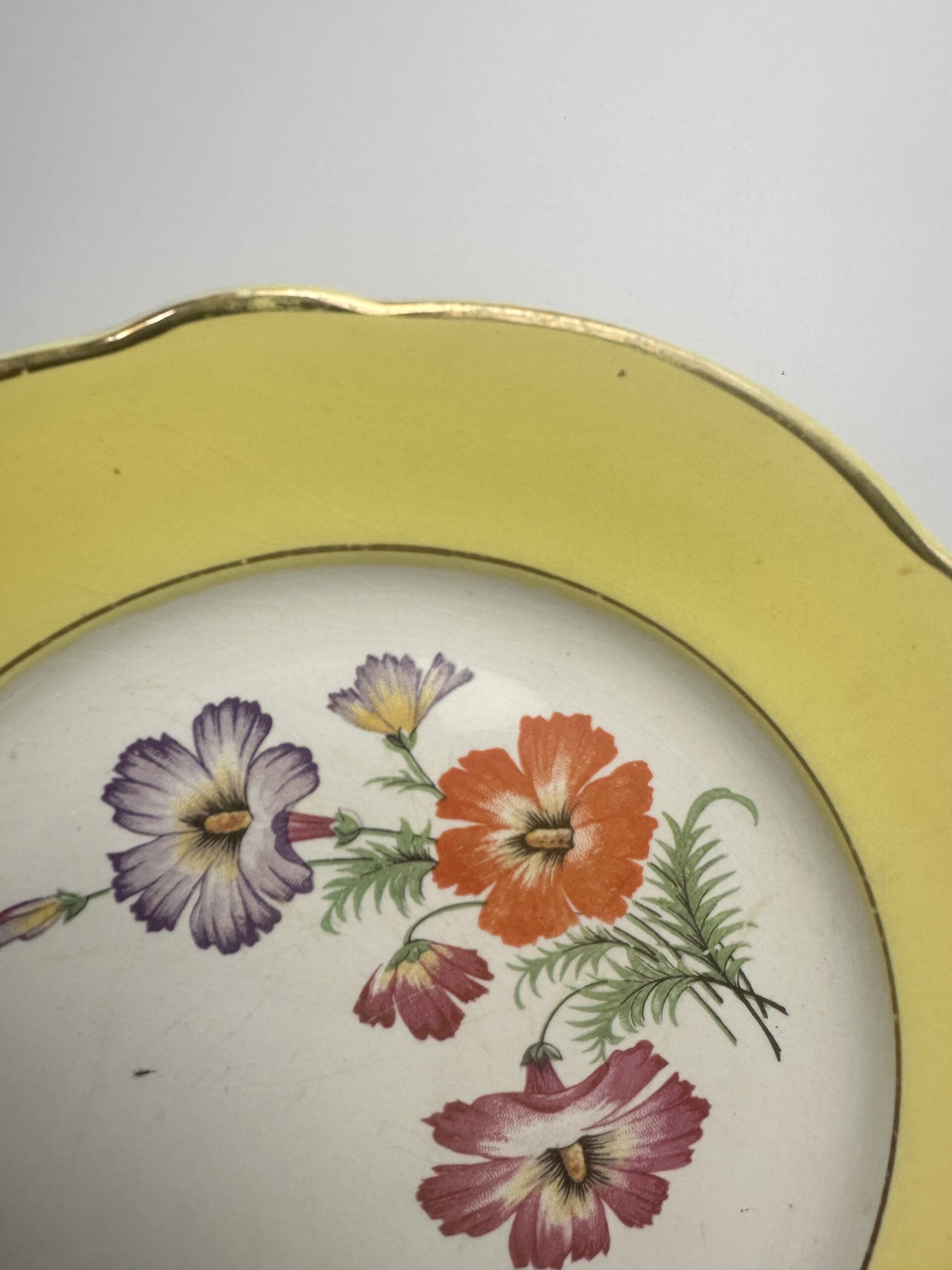 10 assiettes anciennes K&G Lunéville Althea décor fleuri – Image 8