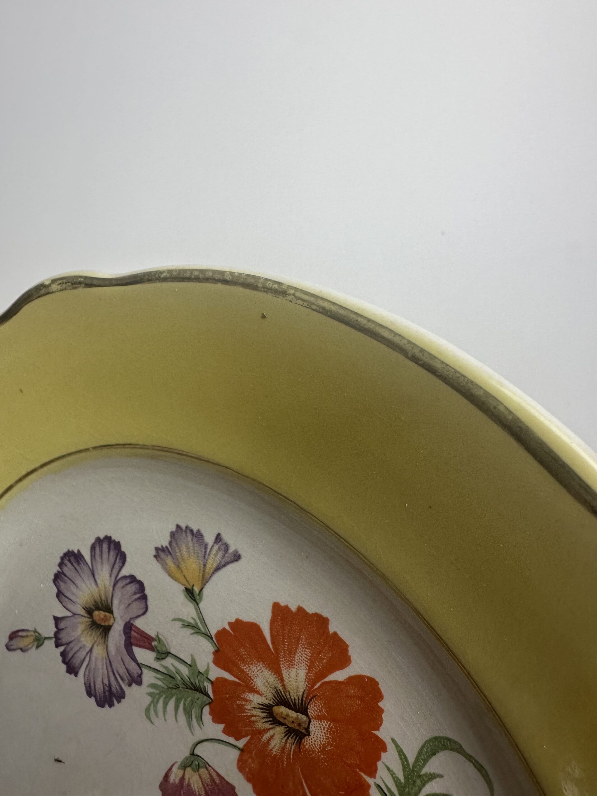 10 assiettes anciennes K&G Lunéville Althea décor fleuri – Image 9