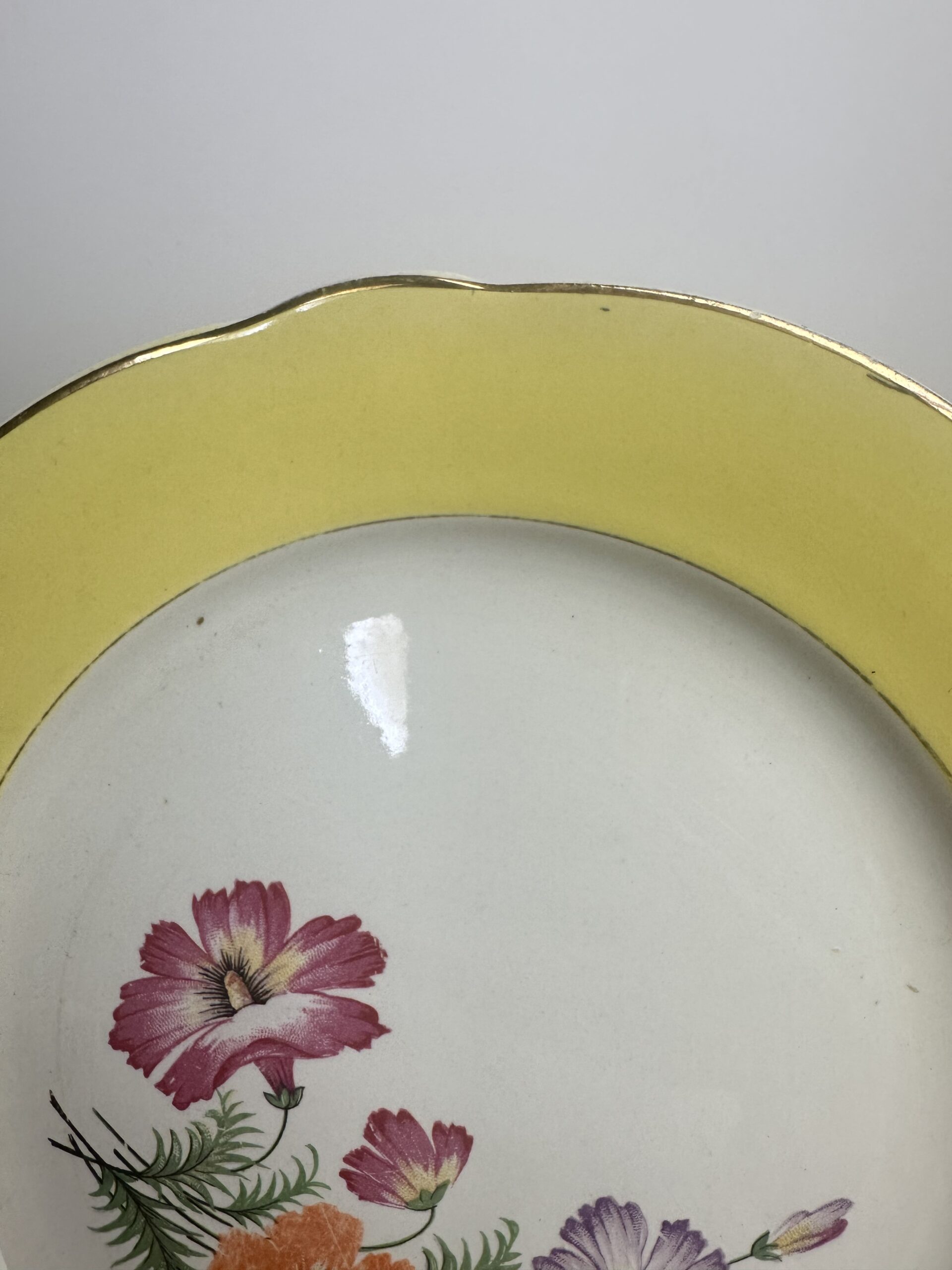 10 assiettes anciennes K&G Lunéville Althea décor fleuri – Image 10
