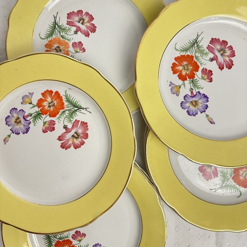 10 assiettes anciennes K&G Lunéville Althea décor fleuri