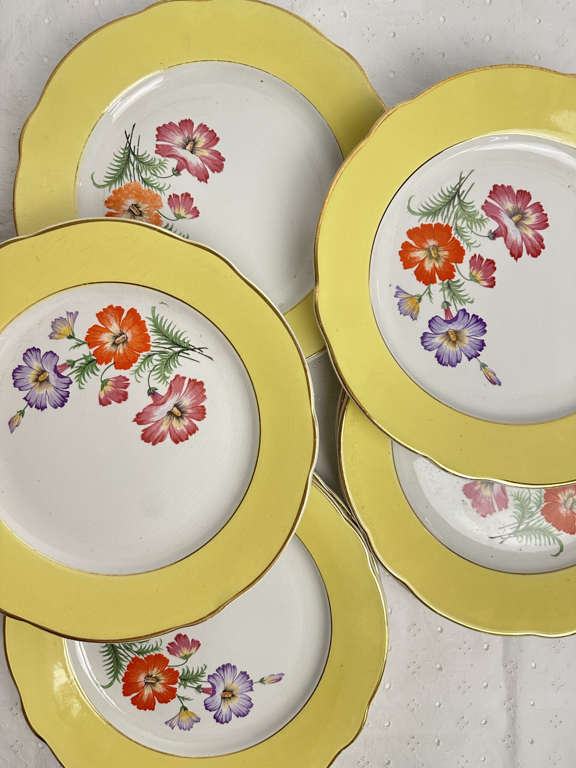 10 assiettes anciennes K&G Lunéville Althea décor fleuri