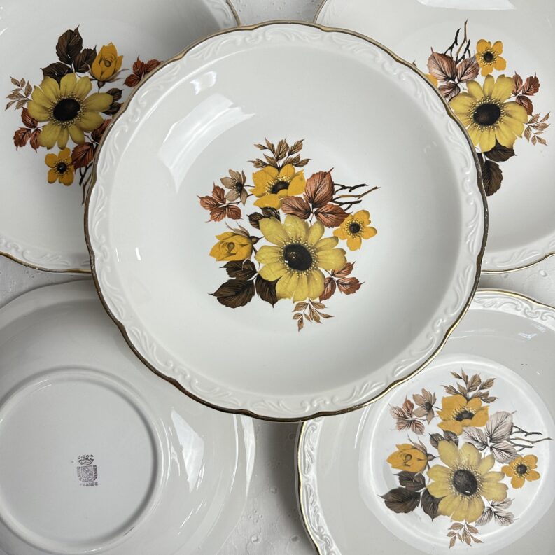 5 assiettes creuses Digoin Sarreguemines Danemark