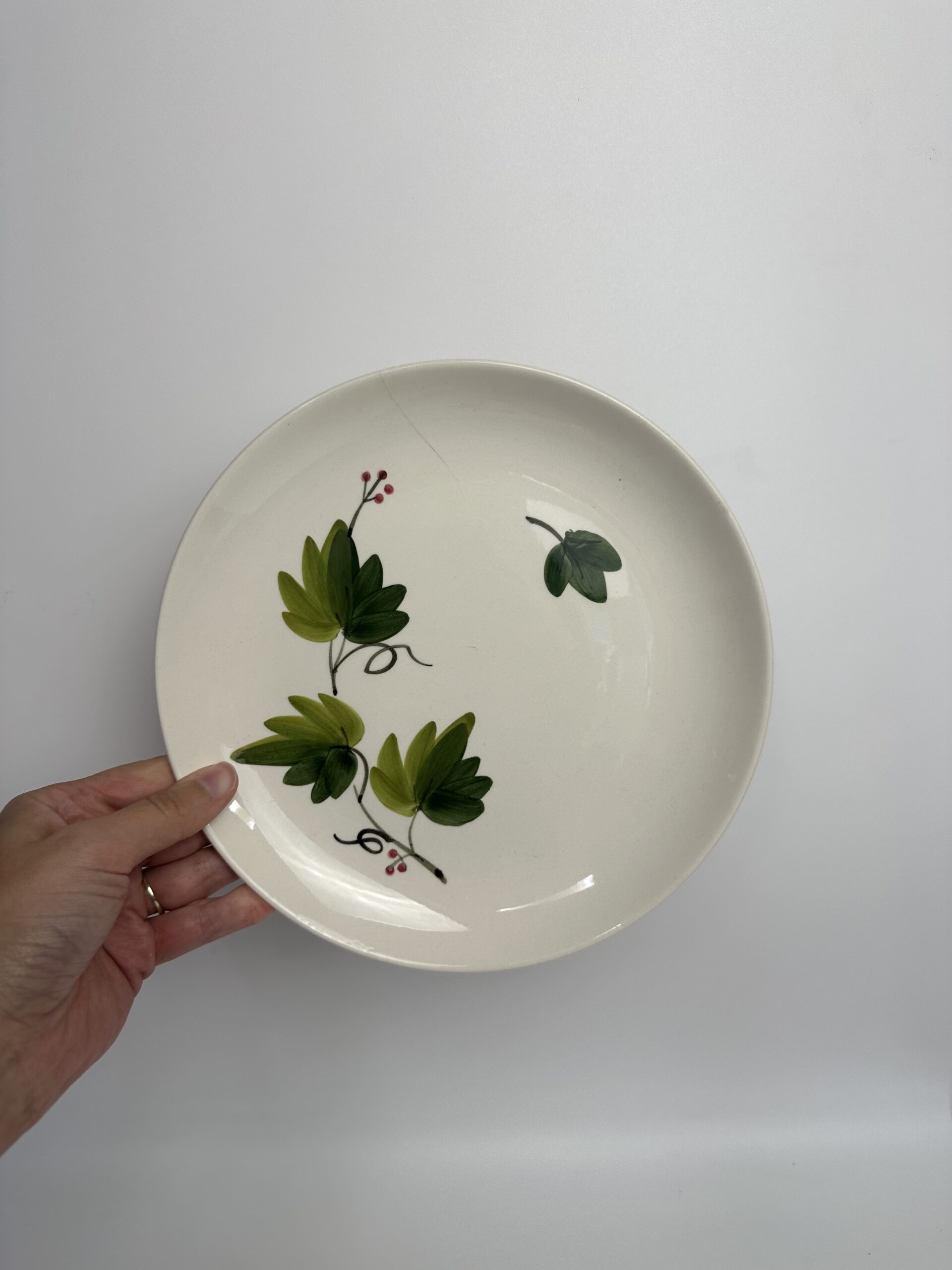 5 assiettes à dessert Villeroy et Boch Saar Lierre – Image 2