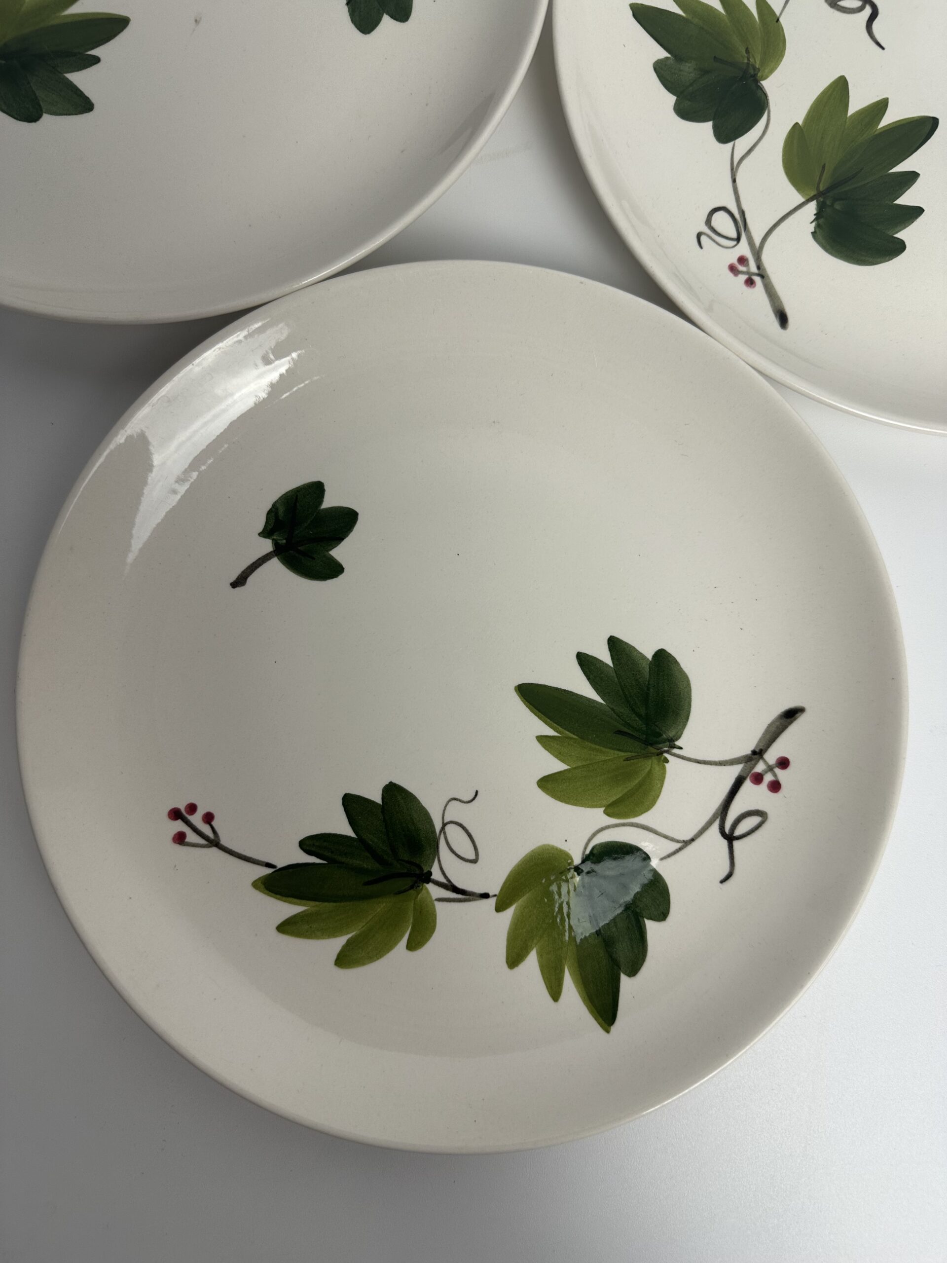 5 assiettes à dessert Villeroy et Boch Saar Lierre – Image 9