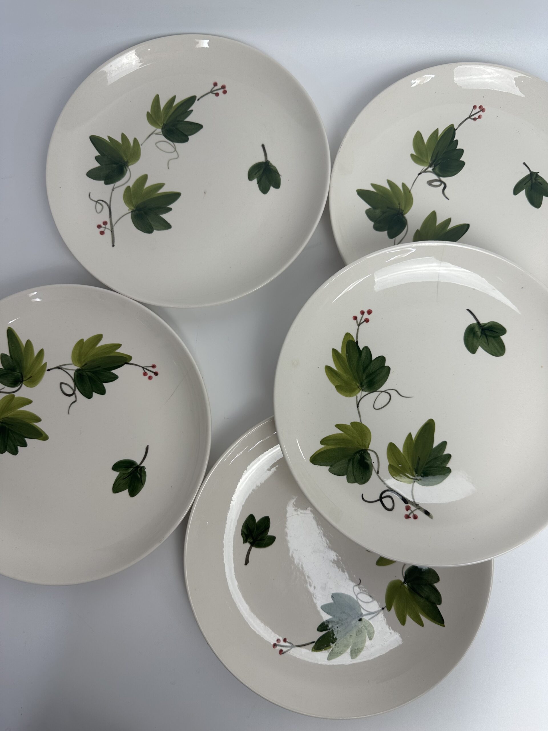 5 assiettes à dessert Villeroy et Boch Saar Lierre – Image 11